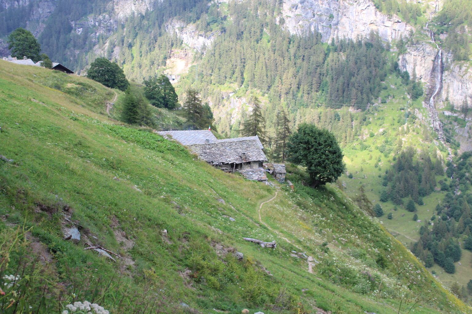 IMG_7110